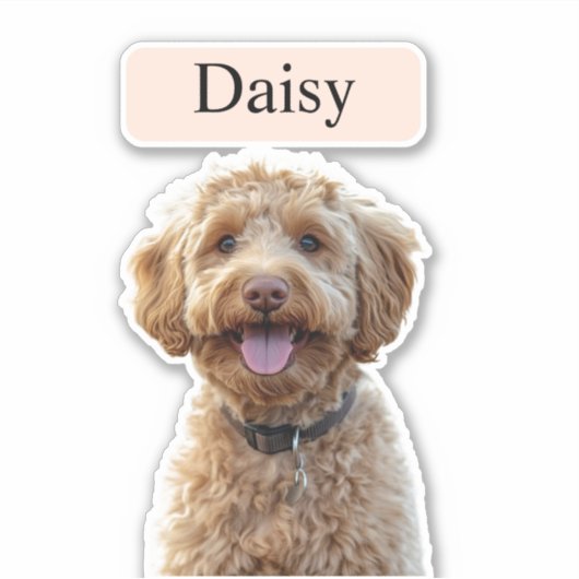 Aangepaste Leopard Print Hondenfoto met naam Sticker (Voorkant)