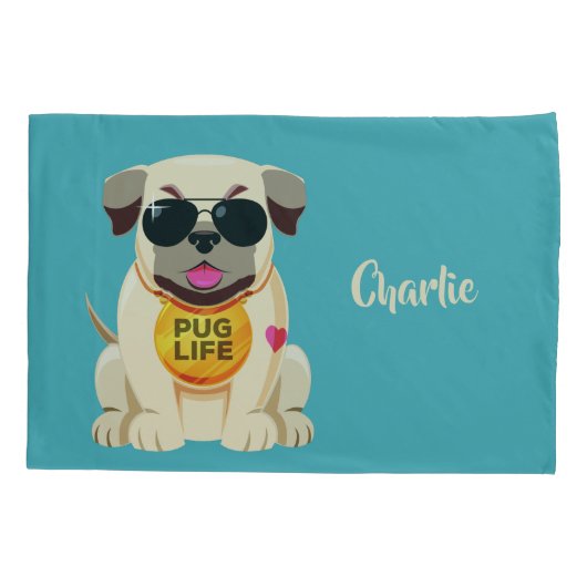 Aangepaste levensstandaard en kleurproefkussen kussensloop (Achterkant)