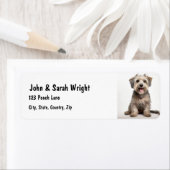 Aangepaste Lhasa Apso hondenadreslabel Etiket (Insitu)