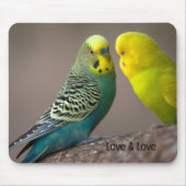 Aangepaste liefde en liefde tekst papegaaien afbee muismat (Voorkant)