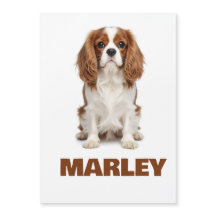Aangepaste liefde Hond Liefhebber Naam