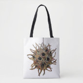 Aangepaste liquidambar styraciflua (Pod)-Canvas ta Tote Bag (Voorkant)