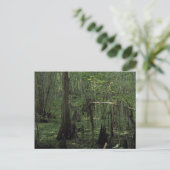 Aangepaste Louisiana-fotofoto-Briefkaarten van de Briefkaart (Staand voorkant)