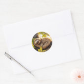 Aangepaste luiaard baby slapen grappige offerte ronde sticker (Envelop)
