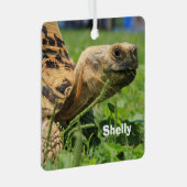 Aangepaste luipaartoise in gras metalen ornament (Voorkant Rechts)