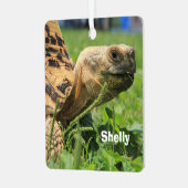 Aangepaste luipaartoise in gras metalen ornament (Voorkant links)