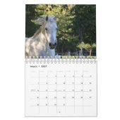 Aangepaste magische paarden 20XX Kalender (Mar 2027)