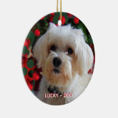 Aangepaste Maltese Dog-foto Keramisch Ornament (Rechts)