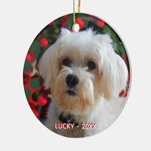 Aangepaste Maltese Dog-foto Keramisch Ornament (Links)