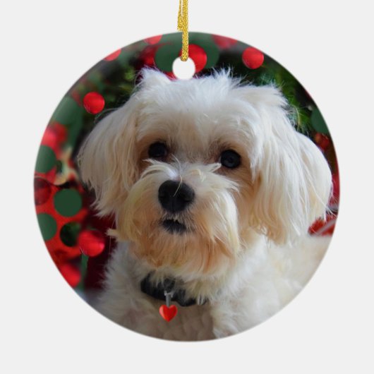 Aangepaste Maltese Dog-foto Keramisch Ornament (Achterkant)