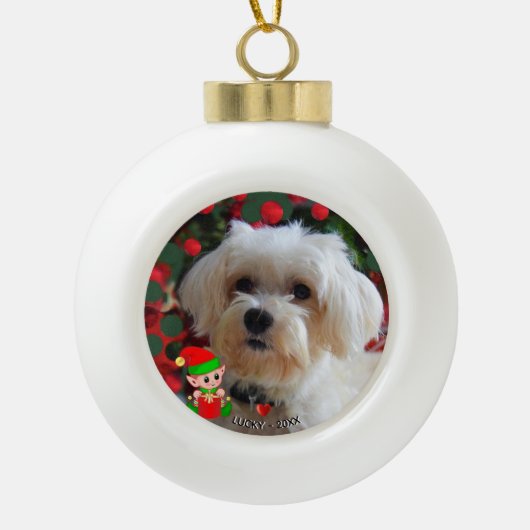 Aangepaste Maltese Dog-foto met Cute Elf Keramische Bal Ornament (Voorkant)