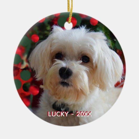 Aangepaste Maltese hondenfoto Keramisch Ornament (Voorkant)