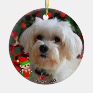 Aangepaste Maltese-hondsfoto met schattige elf Keramisch Ornament