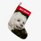Aangepaste Maltese kerststaart voor honden Kleine Kerstsok (Voorkant (Hangend))