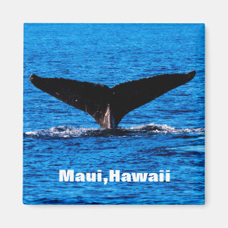 Aangepaste Maui Bultrug Walvis staartmagneet Magneet