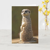 Aangepaste Meerkat Verjaardag Kaart (Gele Bloem)