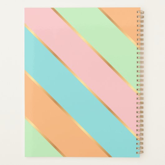 Aangepaste Mintgroene Turquoise Blauwe Roze Gouden Planner (Achterkant)