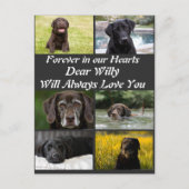 Aangepaste moderne huisdierherdenking 6 foto colla briefkaart (Voorkant)