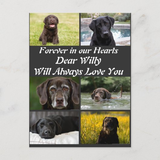 Aangepaste moderne huisdierherdenking 6 foto colla briefkaart (Voorkant)