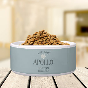 Aangepaste moderne  scripttypografie Pet Name Voerbakje