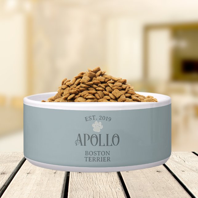 Aangepaste moderne  scripttypografie Pet Name Voerbakje (Customize this fun, custom dog bowl with your pet's name! )