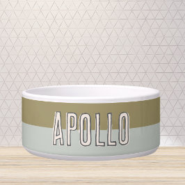 Aangepaste moderne tweekleurige huisdierennaam voerbakje