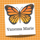 Aangepaste Monarch Vlinder Vinyl Contour XL Sticke Sticker