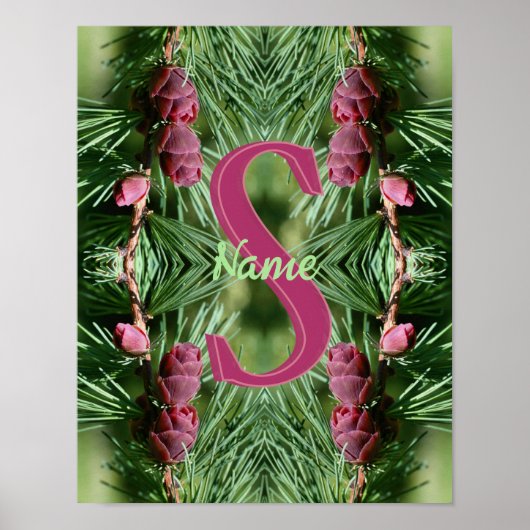 Aangepaste monogram eerste letter naam dennenappel poster (Voorkant)