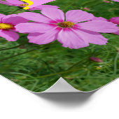 Aangepaste monogram eerste letter naam Roze Daisy Poster (Hoek)