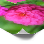 Aangepaste monogram eerste naam Roze Zinnia's Poster (Hoek)