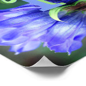 Aangepaste monogram initiaal naam Gentian bloem ku Poster (Hoek)
