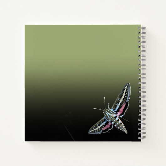 Aangepaste monogram naam groene ombre sphinx Moth Notitieboek (Achterkant)