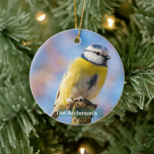 Aangepaste Mooie Blauwe Gele Vogel Foto Gepersonal Keramisch Ornament