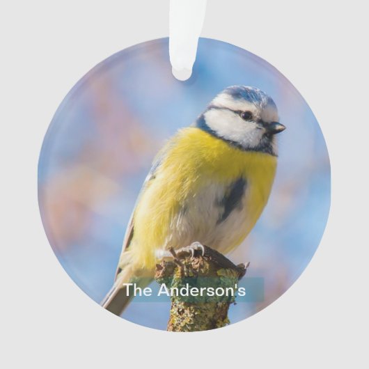 Aangepaste Mooie Blauwe Gele Vogel Foto Gepersonal Ornament (voorkant)
