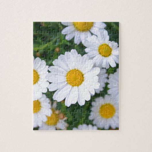 Aangepaste mooie lentevloeren - Daisy Legpuzzel (Verticaal)