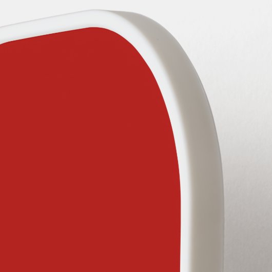 Aangepaste muziekopname & kleur pickleball paddle (Links Detail)