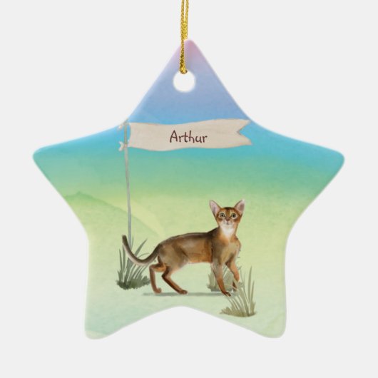 Aangepaste naam Abyssiniaanse kat Pet Keramisch Ornament (Voorkant)