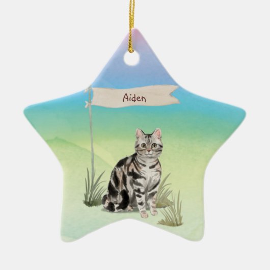 Aangepaste naam Amerikaanse Short Hair Pet Cat Keramisch Ornament (Voorkant)