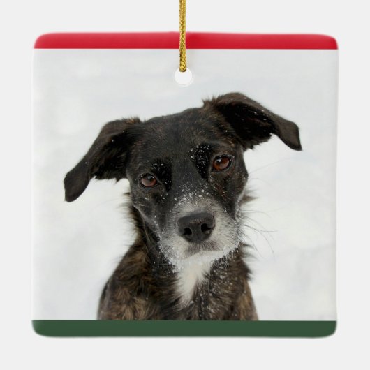 Aangepaste naam beste hond of foto-Afbeelding Keramisch Ornament (Achterkant)