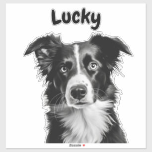 Aangepaste naam border collie sticker