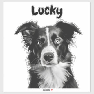 Aangepaste naam border collie sticker