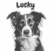 Aangepaste naam border collie sticker (Voorkant)