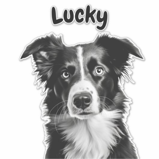 Aangepaste naam border collie sticker (Voorkant)