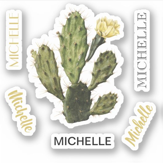 Aangepaste naam Cactus Flower  Drawing Vinyl Sticker (Voorkant)