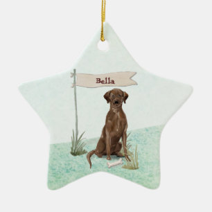 Aangepaste naam Chocolate Lab Pet Dog Keramisch Ornament