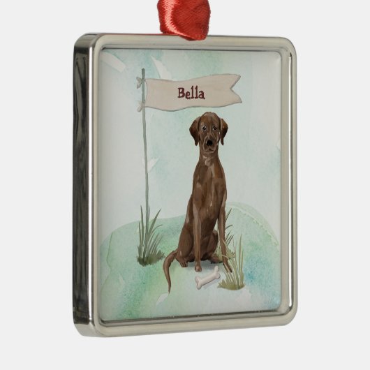 Aangepaste naam Chocolate Lab Pet Dog Metalen Ornament (Rechts)