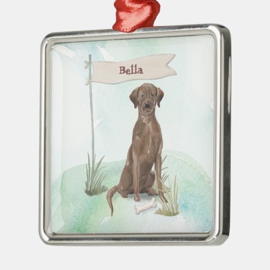 Aangepaste naam Chocolate Lab Pet Dog Metalen Ornament (Links)