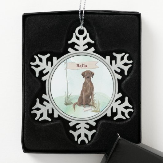 Aangepaste naam Chocolate Lab Pet Dog Tin Sneeuwvlok Ornament (Kistje)