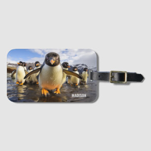 Aangepaste naam Cool Penguins Bagagelabel