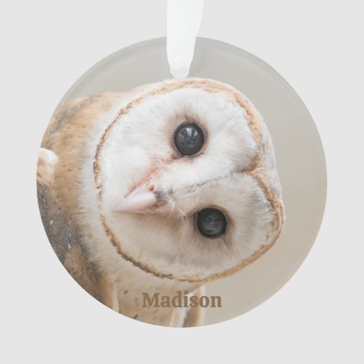 Aangepaste naam Cute Barn Owl Ornament (voorkant)